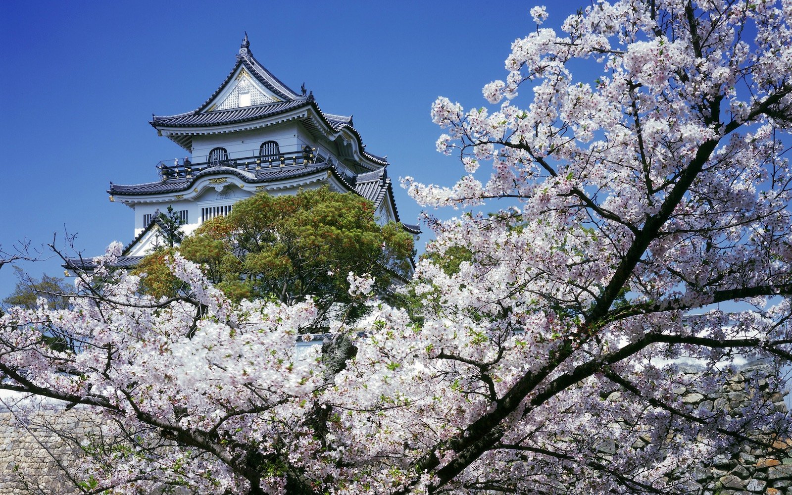 🏯 기시와다 성 이미지 5